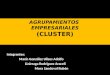 Agrupamientos empresariales cluster (1)