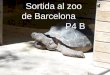 Sortida al zoo de barcelona P4B