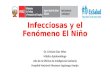 Perfil epidemiologico de las enfermedade infecciosas en el fenomeno del niño (jornada unt)