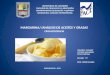 Margarina//ANÁLISIS DE ACEITES Y GRASAS (CROMATOGRAFIA)
