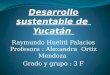 Desarrollo sustentable de Yucatan