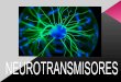 5. neurotransmisores
