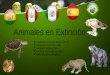 Animales en extinción de diferentes paises