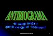 Antibiograma Bacterio práctica