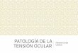 Patología de la tensión ocular (2)