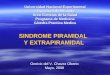 Sindrome piramidal y extrapiramidal