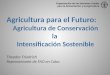 Agricultura para el Futuro: Agricultura de Conservación la Intensificación Sostenible
