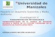 Metodología desarrollo  sostenible universidad de manizales