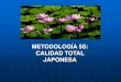 Metodología 5S: Calidad Total Japonesa