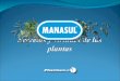 Manasul Classic presentación 2013