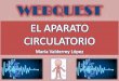 Webquest: Aparato circulatorio