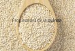 Propiedades quinoa PDF by BURGA