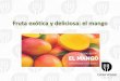 Casa Verde | Fruta exótica y deliciosa: el mango