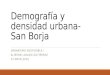 Demografia y densidad urbana  san borja