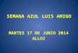 SEMANA AZUL LUIS AMIGO MARTES 17 DE JUNIO - 1