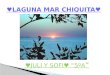 Laguna mar chiquita 8