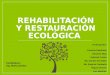Rehabilitación y restauración ecológica