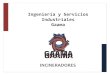 Catalogo de incineradores Ingeniería y Servicios Industriales GAAMA