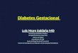 Diabetes gestacional  hsr