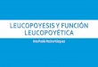 Leucopoyesis y función leucopoyética