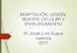 Adaptacion, muerte celular y envejecimiento 2017