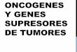 Oncogenes y GST