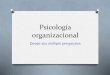 Psicología organizacional y sus perspectivas