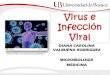 Virus e infección viral