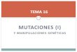 Tema 16 (1ª parte). Mutaciones