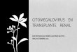 Citomegalovirus    en transplante    renal