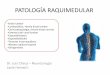 Patología raquimedular