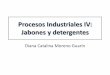 Procesos industriales iv jabones y detergentes (1)