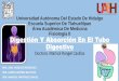 Digestion y Absorcion en el tubo digestivo Guyton