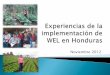 Experiencias de la implementación de wel en honduras 13 nov2012