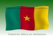 Celebración de la reunificación de camerún final