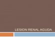 Lesion renal aguda LRA