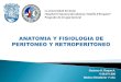 Anatomía y Fisiología del Peritoneo y Retroperitoneo - 2017