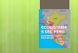 Ecosistemas del perú