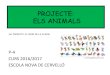 Projecte Animals P4