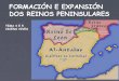 Formación e expansión dos reinos Peninsulares na Idade Media (VIII-XII)