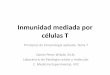 Inmunidad mediada por células T