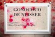Gonococo de Neisser (Neisseria gonorrhoeae)