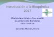2017 0 introducción a la bioquímica nerviosa slideshare