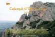 Cabezo de d'or & Cuevas de Canelobre (Alicante)