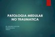 Patologia medular no traumatica udabol (6)
