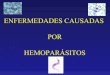 Enfermedades Causadas por hemoparasitos de importancia Veterinaria (Duarte J)