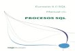 PROCESOS SQL - descargas.merlos-infor.comdescargas.merlos-infor.com/Manuales/Internet/me_procesossql.pdf · Manual de los Procesos SQL 2 1. Introducción 1.1. Advertencias ¡ATENCIÓN!