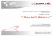 Programa de Adiestramiento 2004 - LIBROS DE INGENIERA DE ... · PDF filede instalaciones de LAG continuo, diagnosticar y optimizar pozos y sistemas de Levantamiento Artificial por