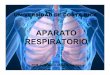 APARATO RESPIRATORIO - Instructores A.E.M. | Material · PDF file · 2010-09-07• Aparato respiratorio se desarrolla de manera tal que es capaz de funcionar de inmediato al nacer