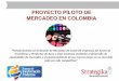 PROYECTO PILOTO DE MERCADEO EN COLOMBIA N SOCIALIZACIÓ · PDF filede mercadeo, realizándose la asignación respectiva de funciones, ... gestión de la calidad, seguridad y salud